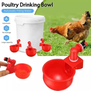15 Pcs Chicken Drinking Bowl Poultry Automatic Water Dispenser